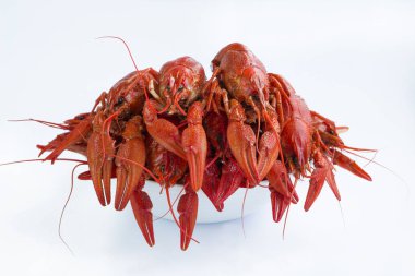 Beyaz arka plan üzerinde izole kırmızı haşlanmış crayfishes tabak