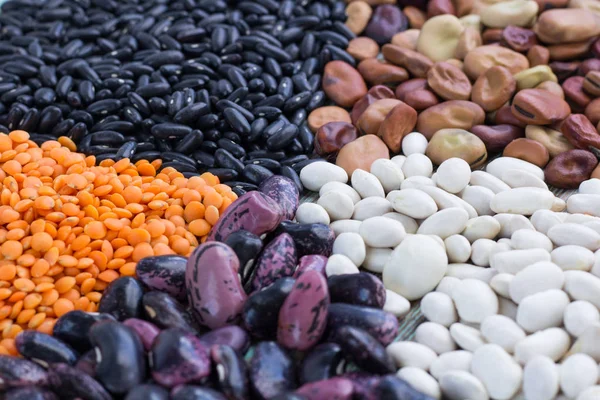 Yellow lentils, white, purple, brown kidney beans close-up