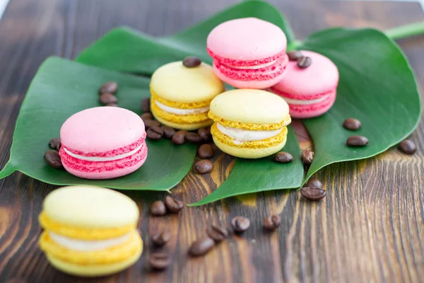 Macarrones rosados, amarillos, granos de café sobre hoja verde, madera — Foto de Stock