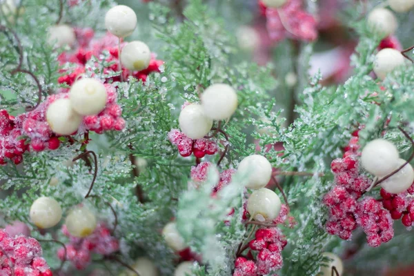 Winter seizoensgebonden sneeuw kerstboom met roze en witte bessen — Stockfoto
