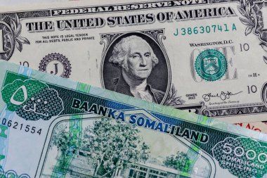 Farklı Somaliland Şiliniyle Bir Amerikan Doları