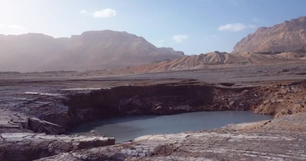 Hava Görüntüsü Ölü Deniz Tuzlu Sahil Hattı Srail — Stok video