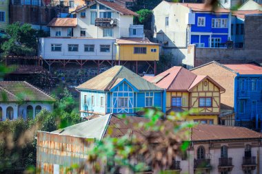 Valparaiso, Şili 'nin Dağ Tepelerindeki Renkli ve Parlak Evler