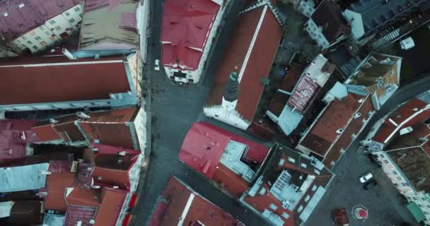 Filmaufnahmen Luftaufnahme Der Dächer Und Gebäude Der Altstadt Von Tallinn — Stockvideo