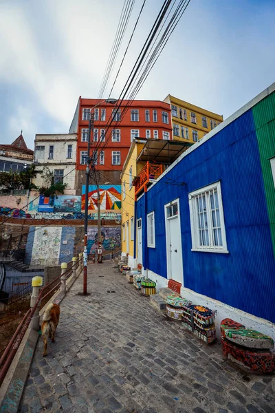 Valparaiso Chile Marca 2020 Kolorowe Budynki Jasnym Malowaniem Ulicy — Zdjęcie stockowe