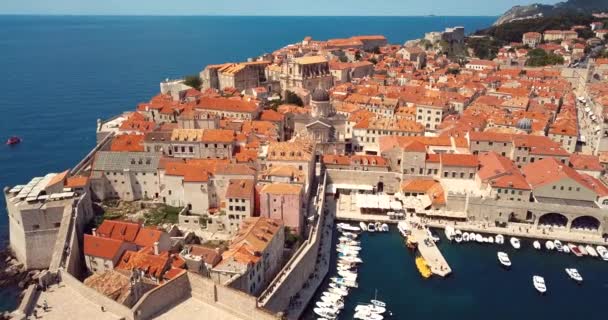 Hırvatistan Dubrovnik Kentindeki Hava Görüntüsü Eski Şehir Kalesi Kırmızı Çatı — Stok video