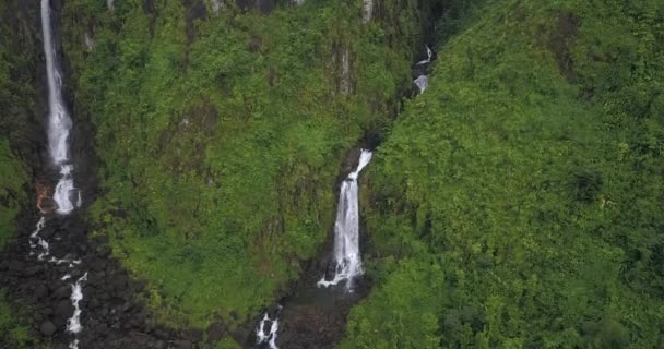 Riprese Aeree Delle Cascate Trafalgar Dominica Isole Dei Caraibi — Video Stock