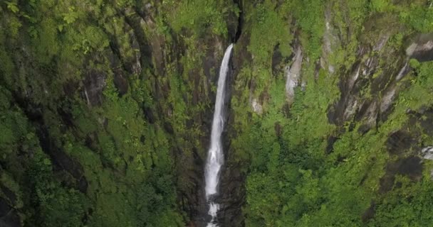 4K加勒比岛屿多米尼克特拉法加瀑布的空中图像 — 图库视频影像