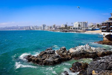 Şili 'nin Vina Del Mar yakınlarındaki güzel Pasifik Okyanus Kıyısı 