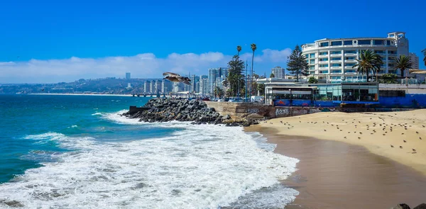 Şili 'nin Vina Del Mar yakınlarındaki güzel Pasifik Okyanus Kıyısı 