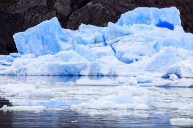 Gri Göl 'deki Buz Parçası, Güney Patagonya Buz Sahası' ndaki Gri Buzul 'un yakınında, Şili