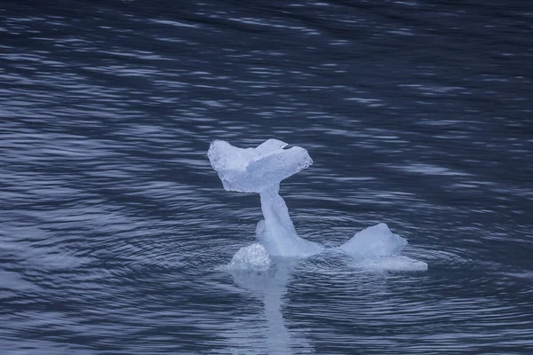 Ice Piece in the Lake of Gray, near of the Grey Glacier in the Southern Patagonian Ice Field, Chile