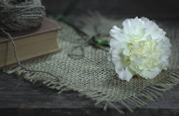 Naturaleza muerta con un clavel blanco, un libro viejo y un cordel . — Foto de Stock
