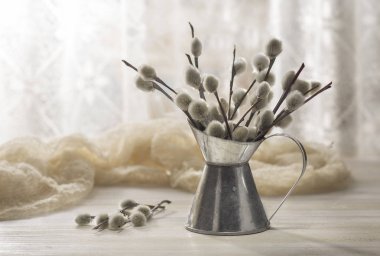 Natürmort sürahi ve willow ile ahşap bir masaya çırpı.