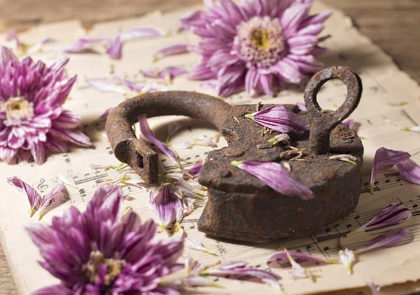 Stilleven met een oude roestige sluis en chrysanten. Lock en chrysanten zijn op een oude muziek-vel. — Stockfoto