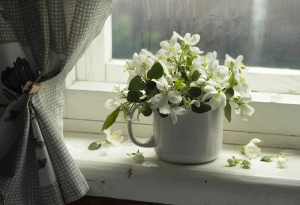 Still life with white pitcher and branches of a blossoming Apple tree on a wooden window. — Stock Photo, Image