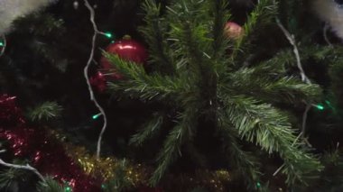 Dolly bir Noel ağacı süsler