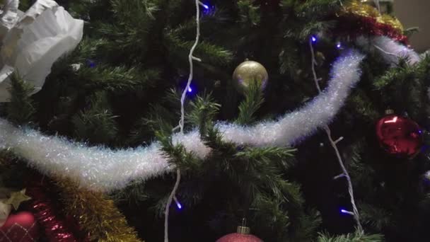 Schmuckkästchen am Weihnachtsbaum — Stockvideo