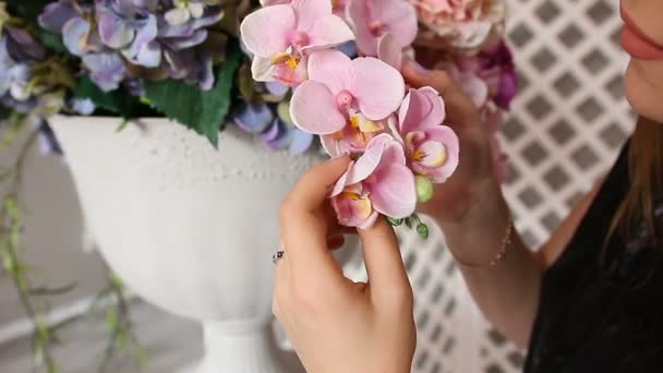 Крупный план девушки, чувствительно касающейся цветущей вазы в комнате — стоковое видео