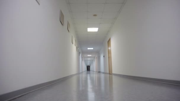 Long office hallway — Stock Video