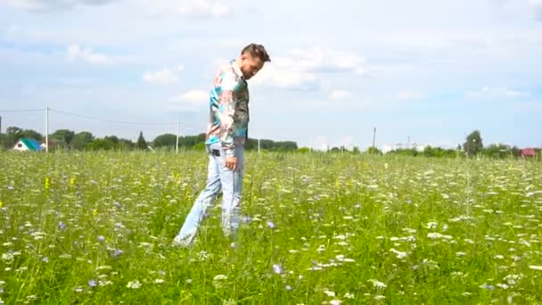 Stylish, bearded man walking in a green field — Stock Video