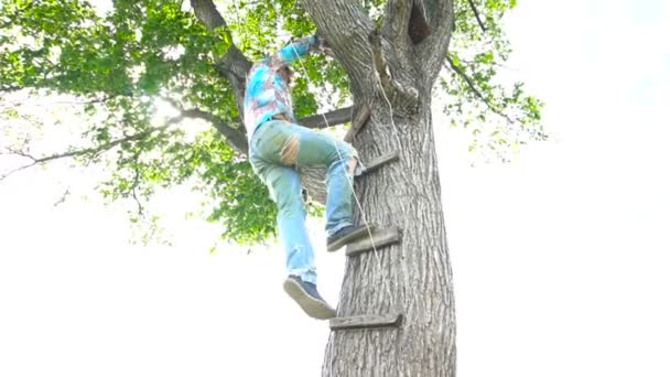 El hombre sube al árbol — Vídeos de Stock