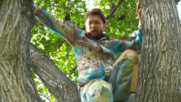 Cool homme 30 ans en chemise est assis sur un arbre — Video