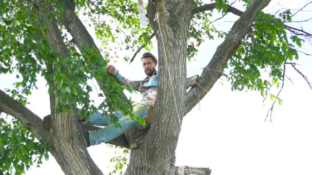 Homem legal 30 anos de idade na camisa está sentado em uma árvore — Vídeo de Stock