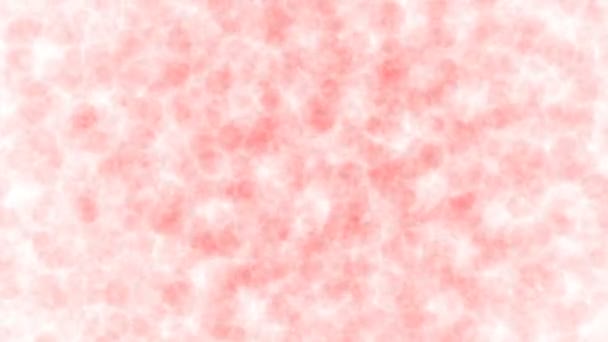Abstrakte isolierte verschwommene rote Teilchen bewegen sich mit Bokeh. funkelnde kreisförmige Punkte Bewegung 3D-Animation. — Stockvideo