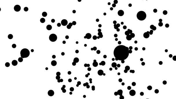 Zwarte ballen is willekeurige bewegende animatie op witte achtergrond. — Stockvideo