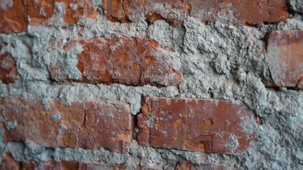 Red brick wall background — Stock Video