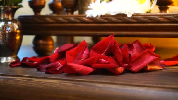 Piros rózsaszirmok szétszórva az asztalon — Stock videók