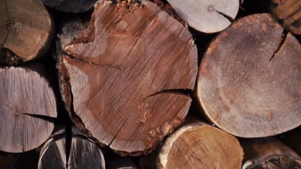 Une pile de bûches. Fond décoratif en bois avec du bois. Un mur en bois. pile de bois 