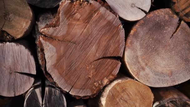 Stack of logs. Decorative wooden background with timber. log wall. pile of timber — Stock Video