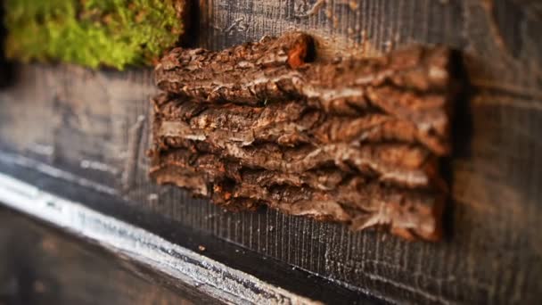 Corteza natural de textura de árbol para la decoración interior de la casa rural — Vídeo de stock