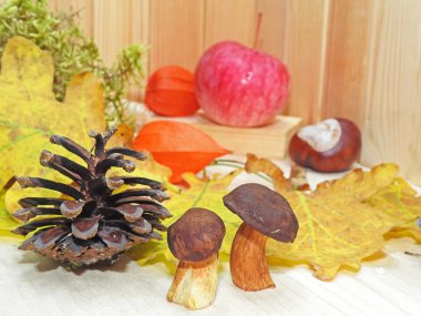 Sonbahar nesneleri soyut kompozisyon