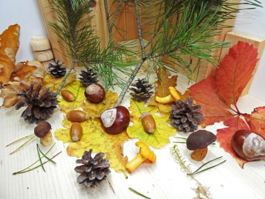 Sonbahar nesneleri soyut kompozisyon