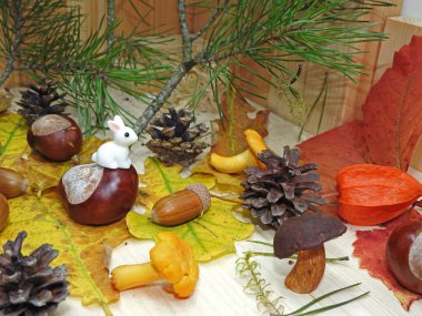 Sonbahar nesneleri soyut kompozisyon