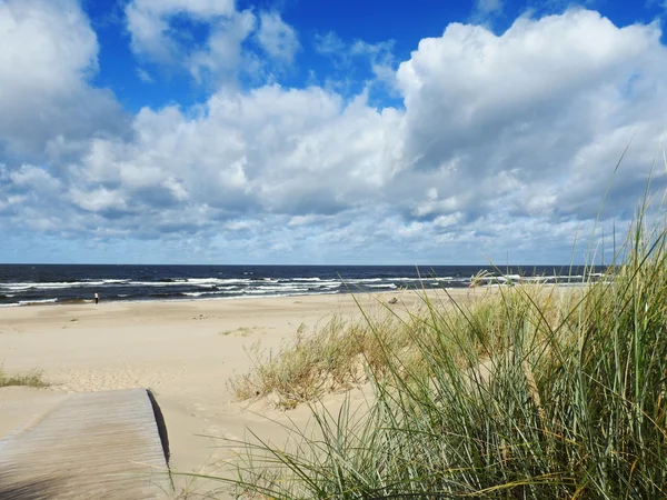 Mar Baltico paesaggio — Foto Stock