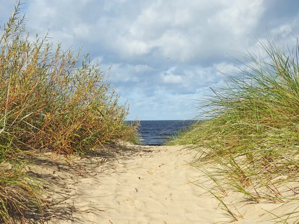 Baltic sea landscape — Stock Photo, Image