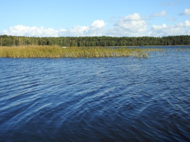 Sessiz sonbahar Nehri.