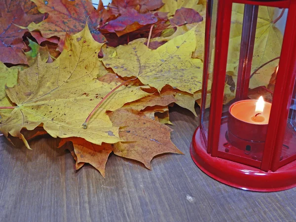 Autunno oggetti composizione astratta — Foto Stock