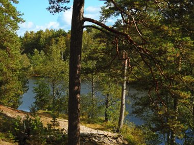 Sessiz sonbahar Nehri.