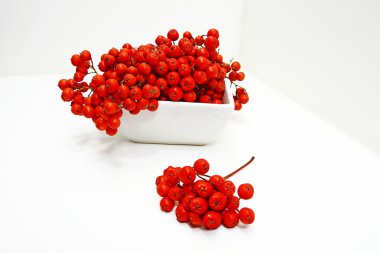 Sonbahar demet olgunlaşmış üvez