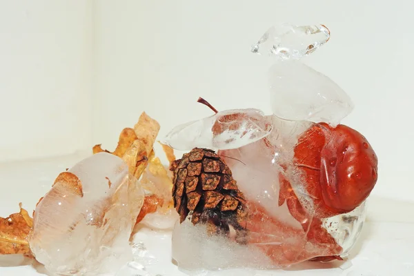 冷凍氷抽象化の秋 — ストック写真