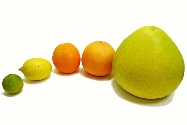 Citrus fresh fruits — Stock Photo, Image