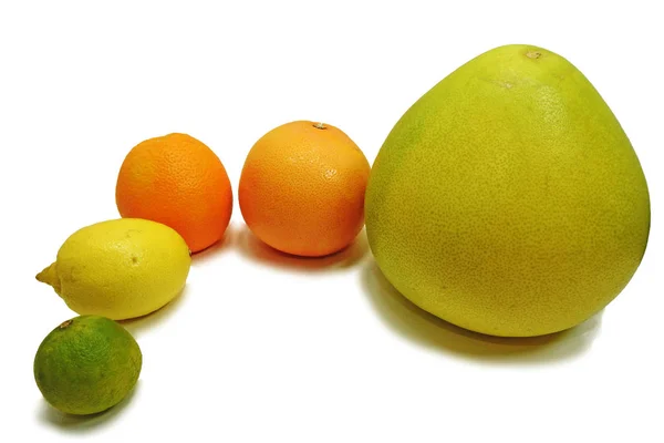 Citrus fresh fruits — Stock Photo, Image