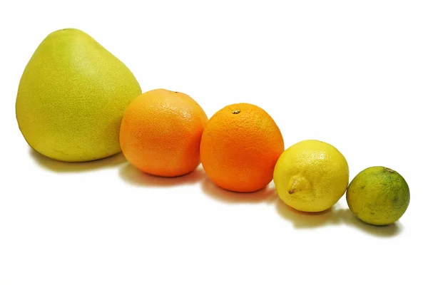 Citrus buah segar — Stok Foto