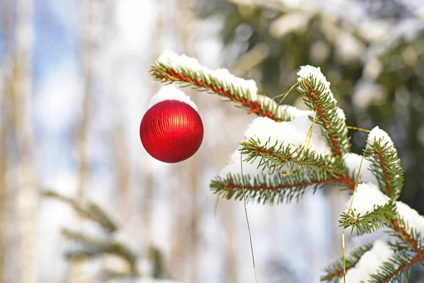 Juguete de Navidad en el árbol. — Foto de Stock