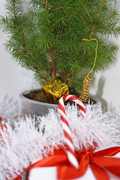 Decoración de Navidad de oro. — Foto de Stock